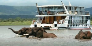 Lake Jozini Elephants